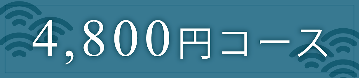 4,800円コース